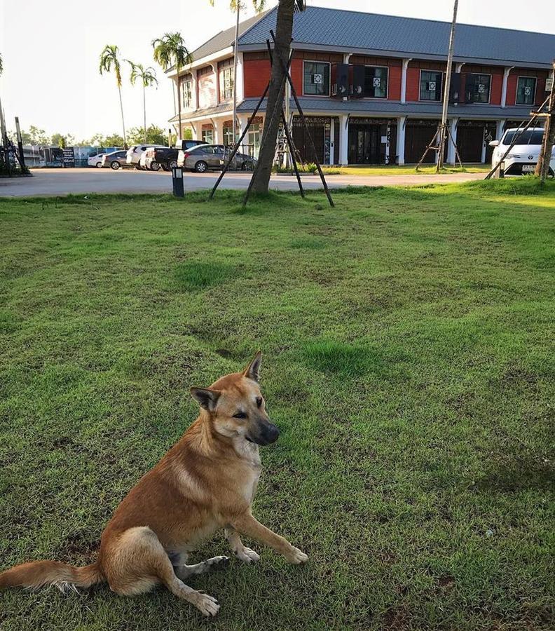Barandbed Urt Hostel Surat Thani Buitenkant foto